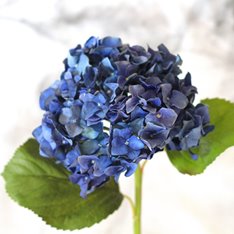Beautiful Blues deluxe Bouquet  Image