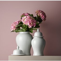 White Ceramic Ginger Jar  Image