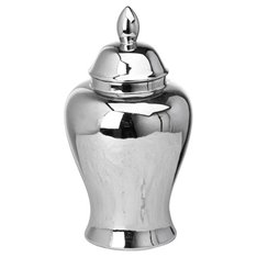 Silver Chrome Ginger Jar  Image