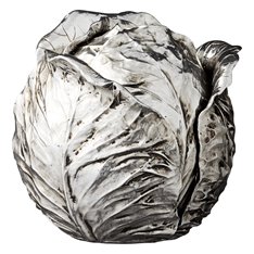 Silver Decorative Cabbage  Image