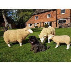 Grazing Sheep Statue Image