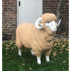 Standing Ram Statue  Image