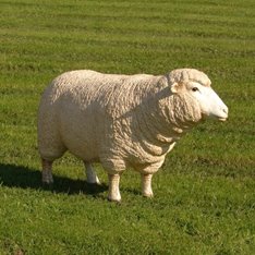 Standing Sheep Statue Image