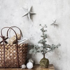 Star Decoration in Grey Image