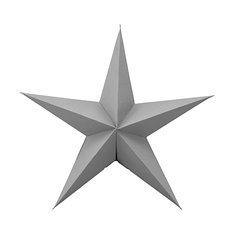 Star Decoration in Grey Image