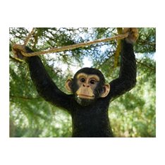 Swinging Monkey Garden Ornament  Image