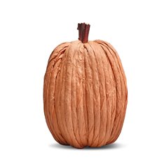Tall Soft Orange Paper Pumpkin Image