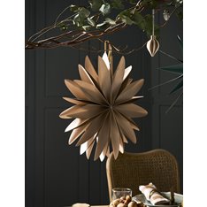 Taupe Curved Edge Star Decoration  Image