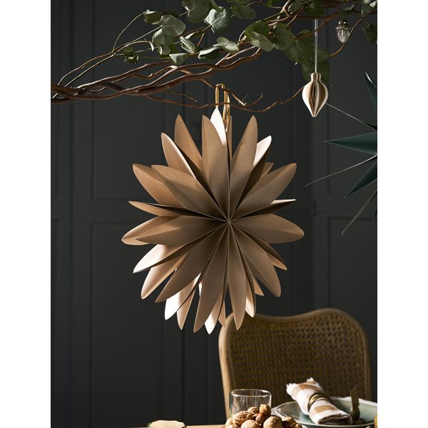 Taupe Curved Edge Star Decoration 