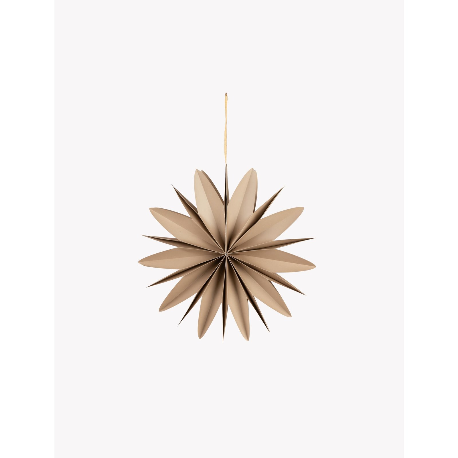 Taupe Curved Edge Star Decoration  Image