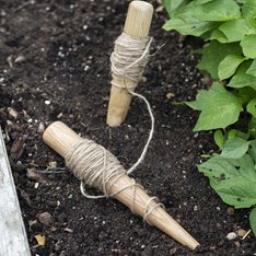 Tewkesbury Ash Garden Line Image