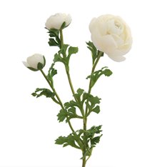 Deluxe Hydrangea Bouquet Image