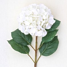 White and Green Hydrangea Bouquet Image