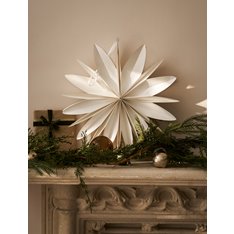 White Curved Edge Star Decoration  Image