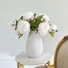 White Peony Stem Image