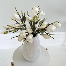 White Short Magnolia Flower  Image