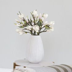 White Short Magnolia Flower  Image