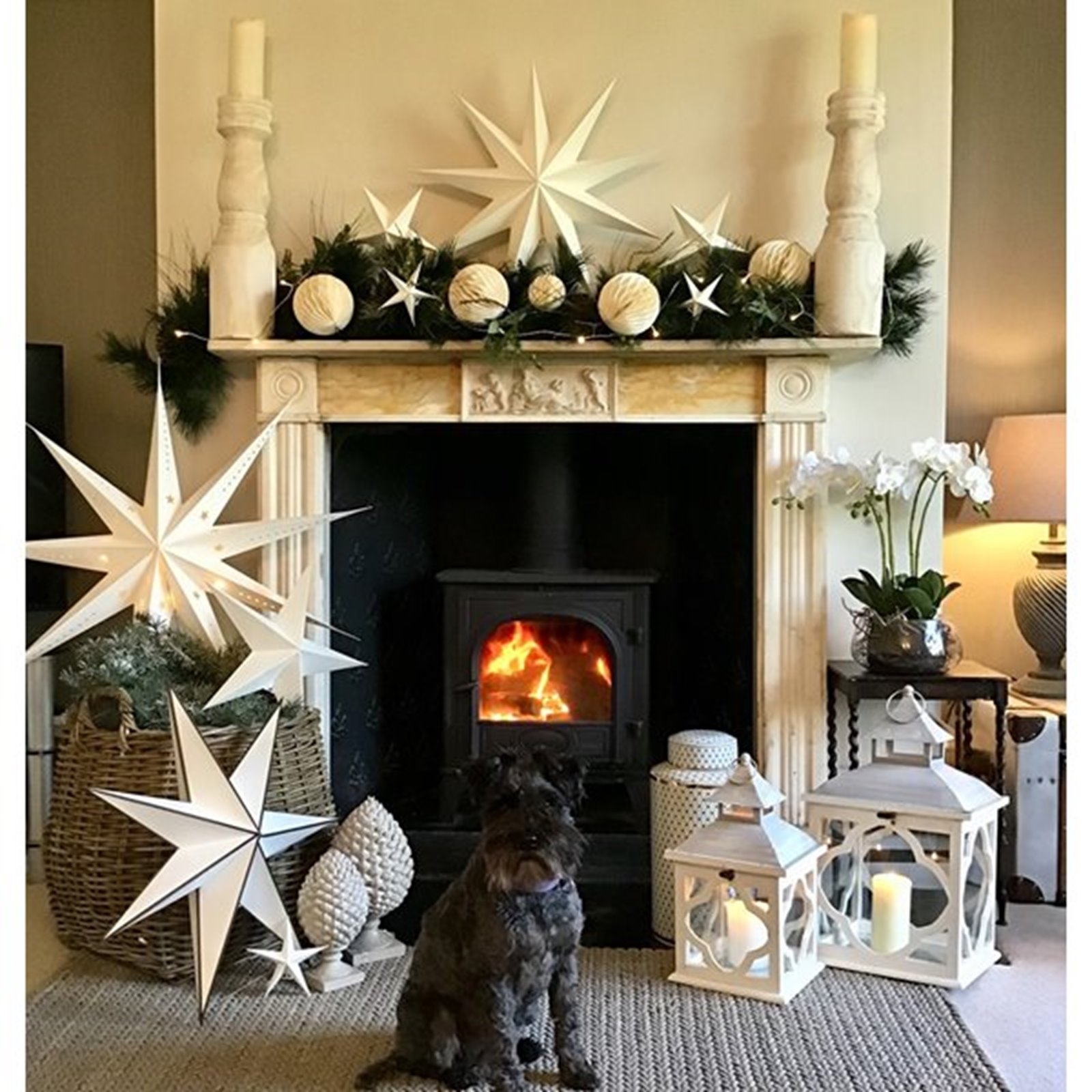 White Star Decoration 45cm Image
