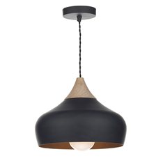 Wren Black Pendant Light  Image