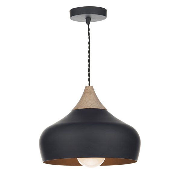 Wren Black Pendant Light 